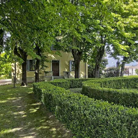 Terzi